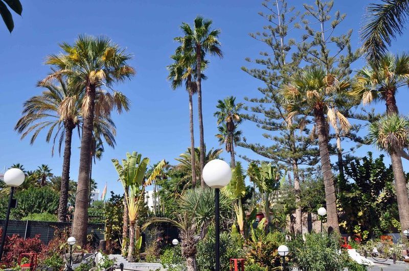 فندق San Valentin & Terraflor Park بلايا ديل إنغلز المظهر الخارجي الصورة