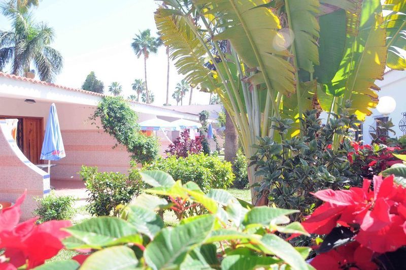 فندق San Valentin & Terraflor Park بلايا ديل إنغلز المظهر الخارجي الصورة